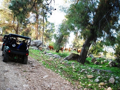 רייזר העמק הנעלם